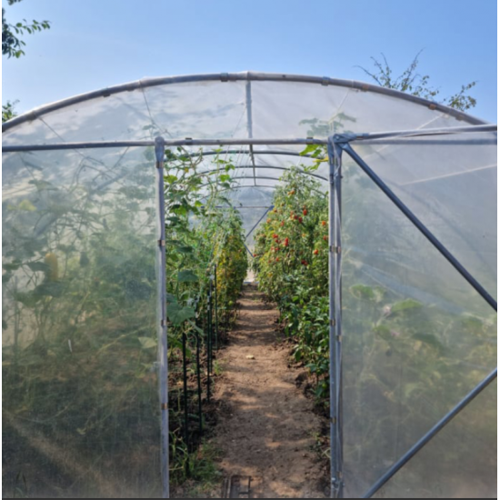 Solar legume 4,5 x 10 cu 2 usi