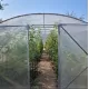 Solar legume 4,5 x 10 cu 2 usi Solar legume 4,5 x 10 cu 2 usi