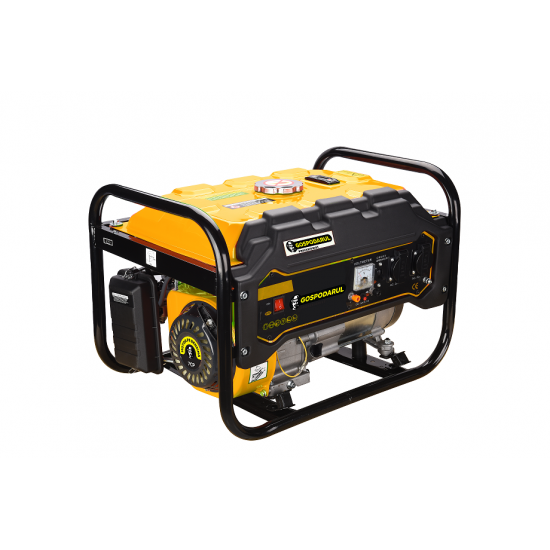 Generator Benzina Gospodarul Profesionist 2800W
