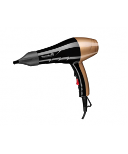Uscator de par Hausberg HB26G , Putere 2000W ,2 trepte de viteza, Negru-Gold