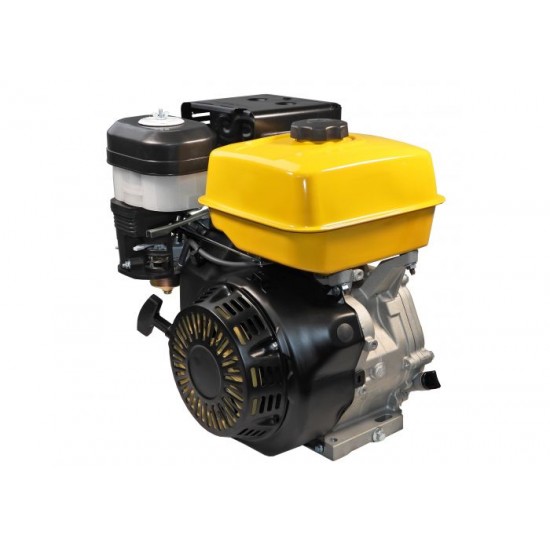 Panda-PD190F- Motor-benzina-16CP-420cc-euro5-ax canelat-123