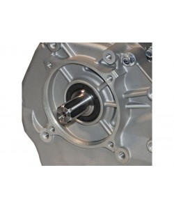 Panda PD190F - Motor benzina 16CP, 420cc, 1C 4T OHV, euro5, ax canelat