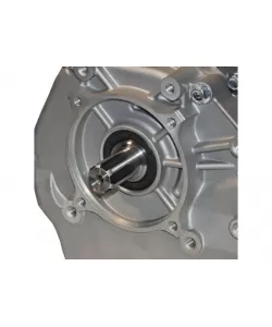 Panda PD190F - Motor benzina 16CP, 420cc, 1C 4T OHV, euro5, ax canelat