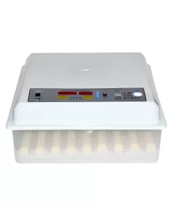 Incubator MS-64 oua Incubator MS-64 oua