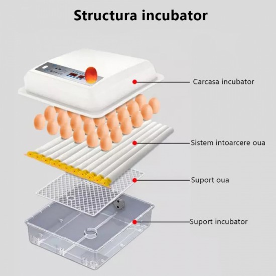 Incubator MS-64 oua Incubator MS-64 oua