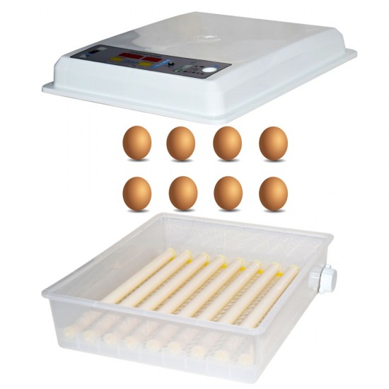 Incubator MS-64 oua Incubator MS-64 oua