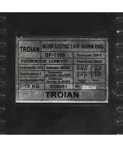 Motor electric 3.0 kw 3000rpm TROIAN ROSU