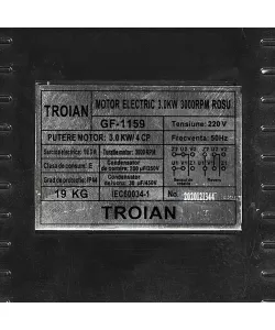 Motor electric 3.0 kw 3000rpm TROIAN ROSU