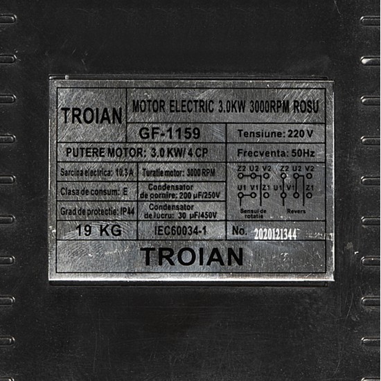 Motor electric 3.0 kw 3000rpm TROIAN ROSU