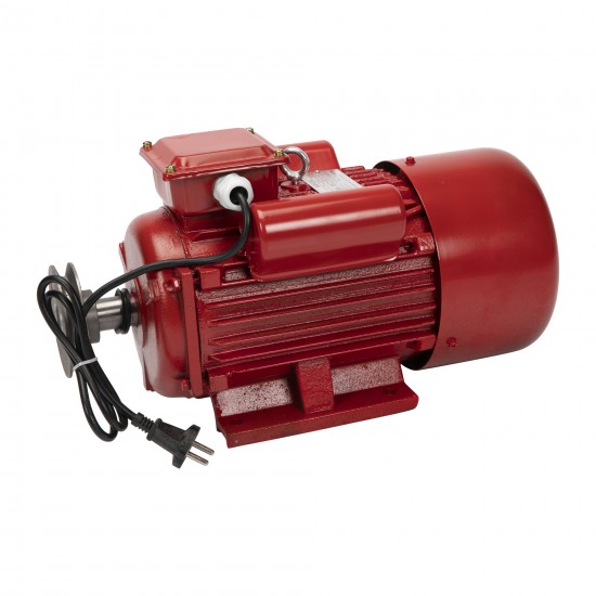 Motor electric 4.0 kw 3000rpm TROIAN ROSU