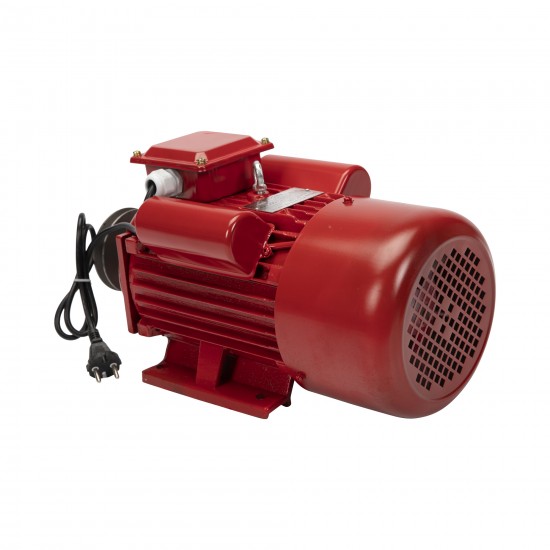 Motor electric 4.0 kw 3000rpm TROIAN ROSU