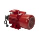 Motor electric 4.0 kw 3000rpm TROIAN ROSU