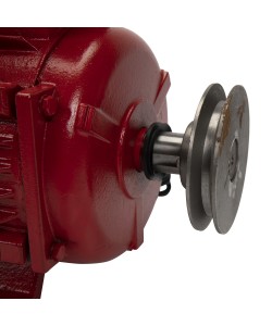 Motor electric 4.0 kw 3000rpm TROIAN ROSU