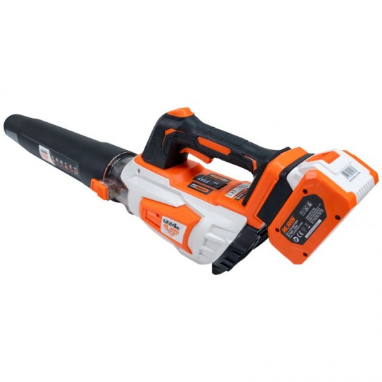 Suflanta pe acumulator RURIS 1224e Power Alfa UP {contine acumulator + incarcator} Suflanta pe acumulator RURIS 1224e Power Alfa UP {contine acumulator + incarcator}