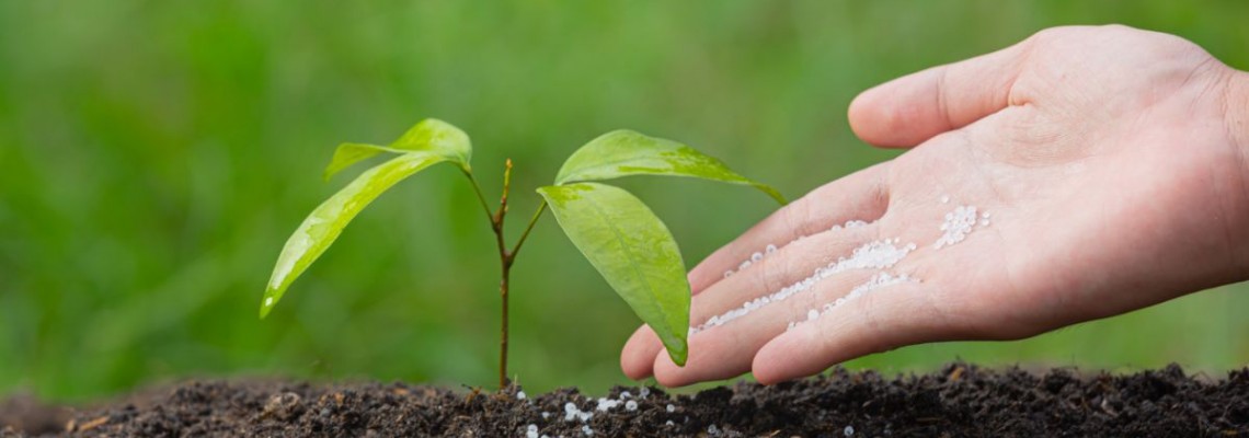 Fertilizarea solului - ce reprezinta, cum se realizeaza, sfaturi si recomandari utile pentru gospodari
