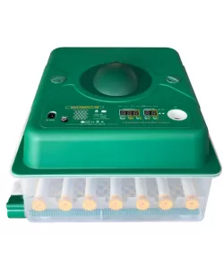 Incubator automat ECO PROFI-36