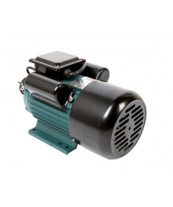 Motor electric monofazat cu fulie inclusa, DDT PROFESSIONAL, 3000 W, 1500 rpm, 2 condensatori, corp fonta