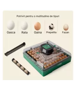 Incubator automat EU PROFI C-72