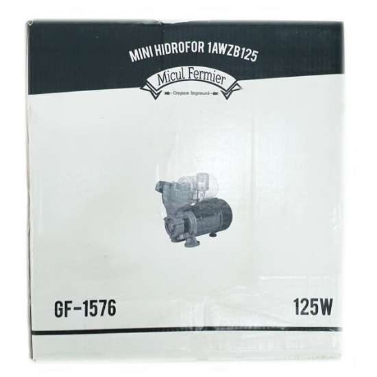 Mini Hidrofor 2m3/ora, 26m, 125W