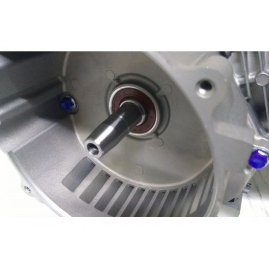Yihu YH168FB - Motor benzina 6.5CP, 196cc, 1C 4T OHV, ax conic