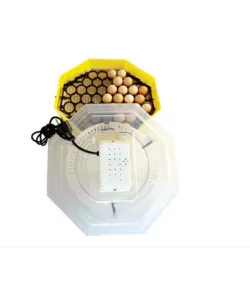 Incubator electric cu dispozitiv de intoarcere oua Cleo 5D, 230 V, 41 oua capacitate Incubator electric cu dispozitiv de intoarcere oua Cleo 5D, 230 V, 41 oua capacitate