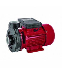 Pompa de suprafata RAIDER RD-1.5DK20 Fonta 1cp 12600 l/h inaltime refulare 20m adancime absorbtie 9m 2bari