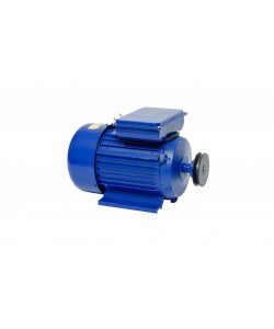 Motor Electric 2500W 3000RPM UralMash by ALTAI