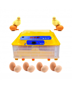 Incubator automat MS-56 (12V/220V)