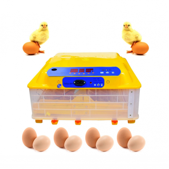 Incubator automat MS-56 (12V/220V)