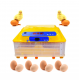 Incubator automat MS-56 (12V/220V)