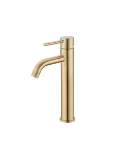 Baterie Lavoar, Inox SUS304, Auriu, N/MP0A2