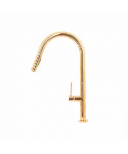 Baterie Bucatarie cu Dus Extractibil, Alama Sanitara, Auriu, CF2043