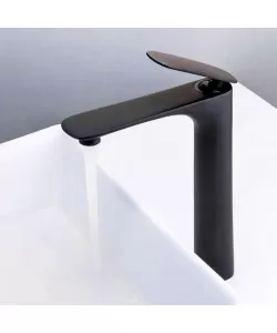 Baterie Lavoar, Alama Sanitara, Negru, CF2026