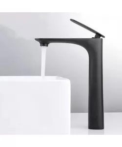 Baterie Lavoar, Alama Sanitara, Negru, CF2026