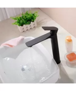 Baterie Lavoar, Alama Sanitara, Negru, CF2028