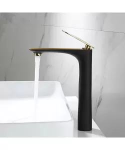 Baterie Lavoar, Alama Sanitara, Negru cu Auriu, CF2029