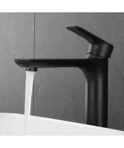 Baterie Lavoar Alama Sanitara Negru LJS/222B