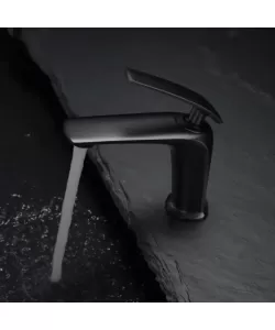 Baterie Lavoar, Alama Sanitara, Negru, MP015H