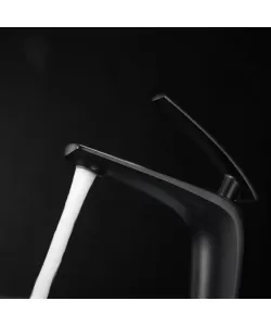 Baterie Lavoar, Alama Sanitara, Negru, MP015H