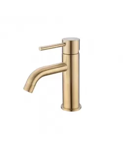 Baterie Lavoar, Inox SUS304, Auriu, N/MP0A1