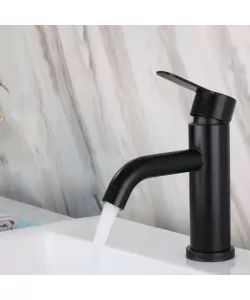 Baterie Lavoar, Inox SUS304, Negru, HS/LY007