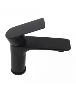 Baterie Lavoar, Inox SUS304, Negru, LJS/221B