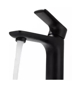 Baterie Lavoar, Inox SUS304, Negru, LJS/221B