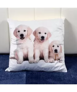 Pernita Decorativa Alba cu 3 Catelusi Pernita Decorativa Alba cu 3 Catelusi