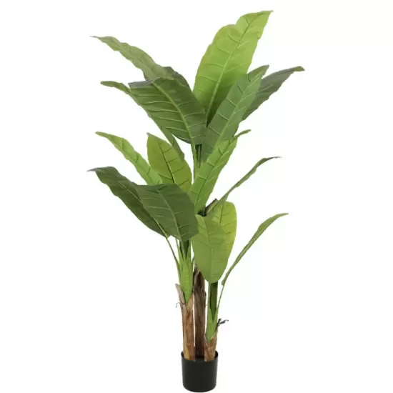 Planta Artificiala Banan japonez, 3 Crengi, fara Ghiveci 190cm Verde Planta Artificiala Banan japonez, 3 Crengi, fara Ghiveci 190cm Verde