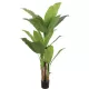 Planta Artificiala Banan japonez, 3 Crengi, fara Ghiveci 190cm Verde Planta Artificiala Banan japonez, 3 Crengi, fara Ghiveci 190cm Verde
