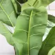 Planta Artificiala Banan japonez, 3 Crengi, fara Ghiveci 190cm Verde Planta Artificiala Banan japonez, 3 Crengi, fara Ghiveci 190cm Verde