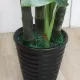 Planta Artificiala Banan japonez, 4 Crengi, fara Ghiveci 180cm Verde Planta Artificiala Banan japonez, 4 Crengi, fara Ghiveci 180cm Verde