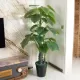 Planta Artificiala Alocasia odora, fara Ghiveci, 150cm Verde Planta Artificiala Alocasia odora, fara Ghiveci, 150cm Verde