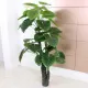 Planta Artificiala Alocasia odora, fara Ghiveci, 150cm Verde Planta Artificiala Alocasia odora, fara Ghiveci, 150cm Verde